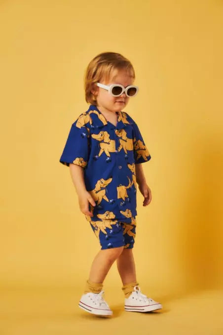 Roller Indigo - Shirt