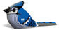 3D Vogel - Blauwe Gaai