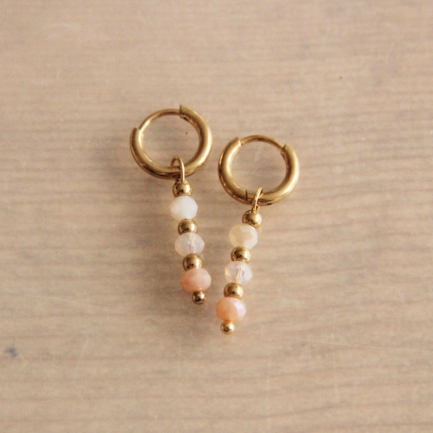 Stainless steel earrings with facets  - Nude - CB382